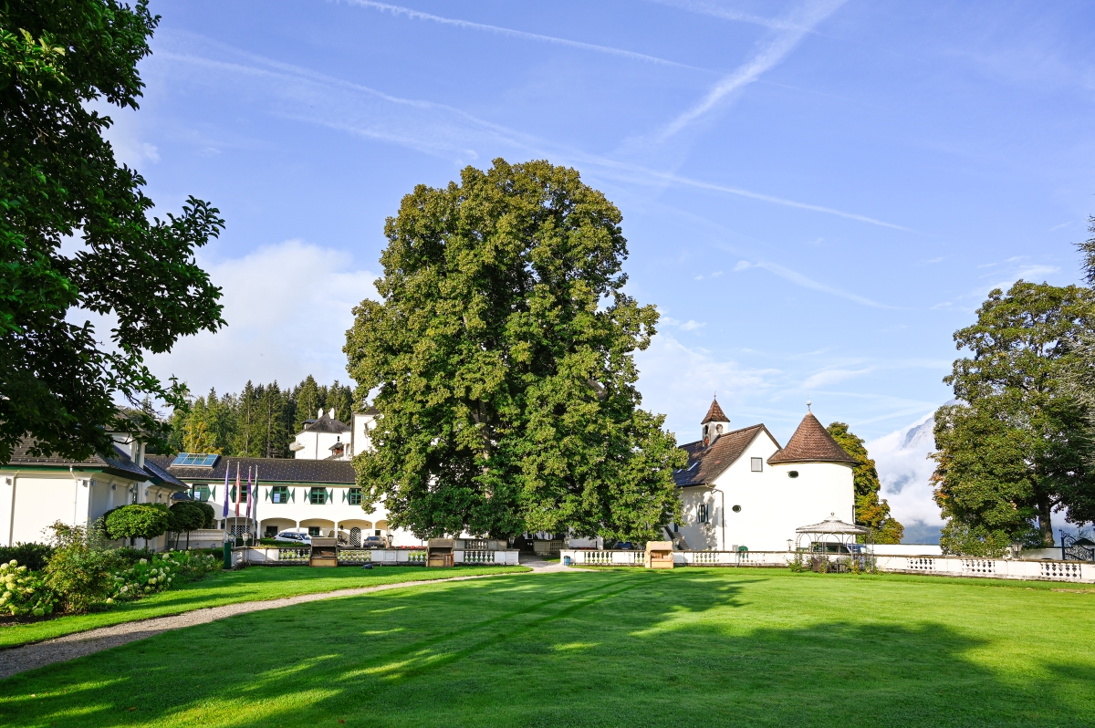 Bild: Ansicht von Schloss Pichlarn mit der alten Linde