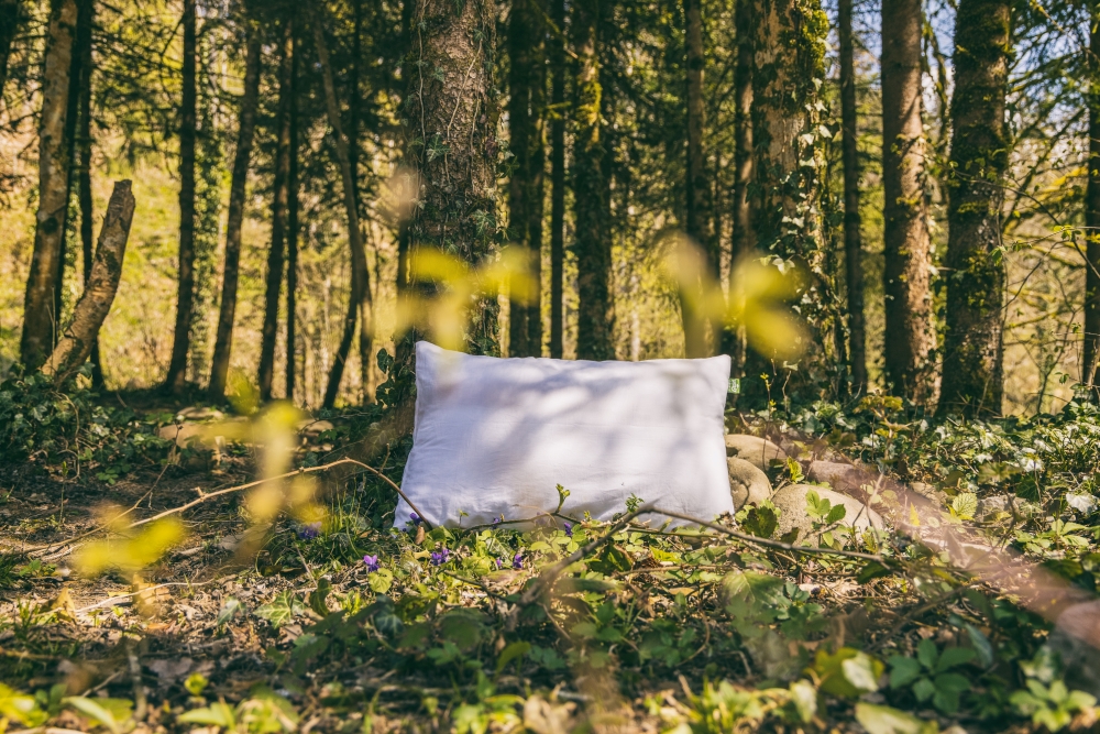 Bild: Kissen im Wald
