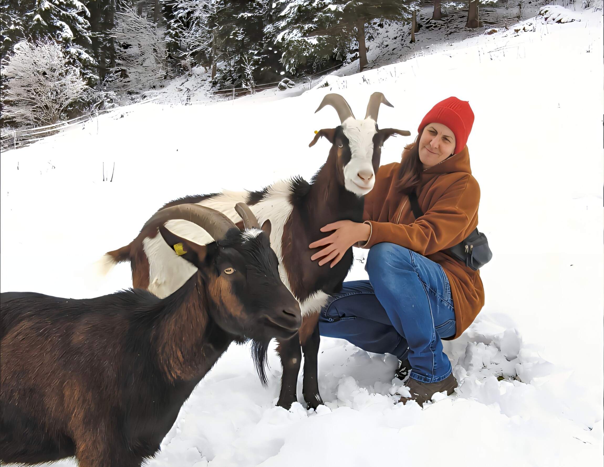 IMLAUER Hotel Schloss Pichlarn | 5-Sterne Hotel Österreich