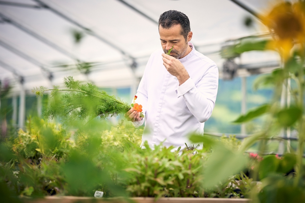 Bild: Küchenchef Gottfried Prall im Gewächshaus