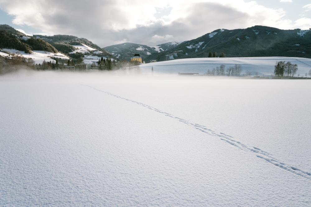 DSC00413 Putterersee © Christoph Lukas (2020-01) web Bild: Putterersee im Winter