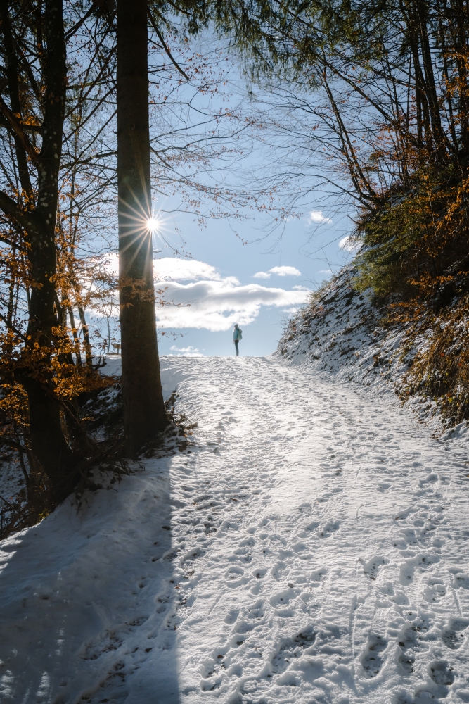 Winter hike Spechtensee-Leistenalm CREDITS! © TVB Schladming-Dachstein – Christoph Lukas web Picture: Winter hiking © TVB Schladming-Dachstein / Christoph Lukas