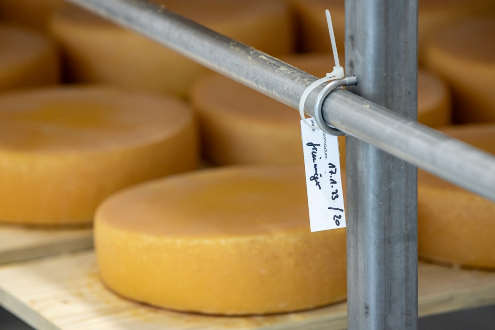 huettstaedterhof-c-martin-huber-3034 web Picture: Käserei Hüttstädterhof Martin Huber