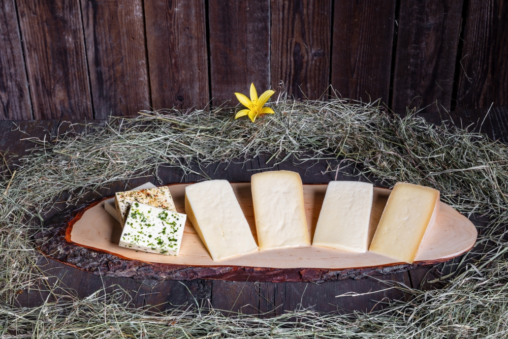 huettstaedterhof-c-martin-huber-3354 – Copy web Picture: Products from the Hüttstädterhof Martin Huber cheese dairy