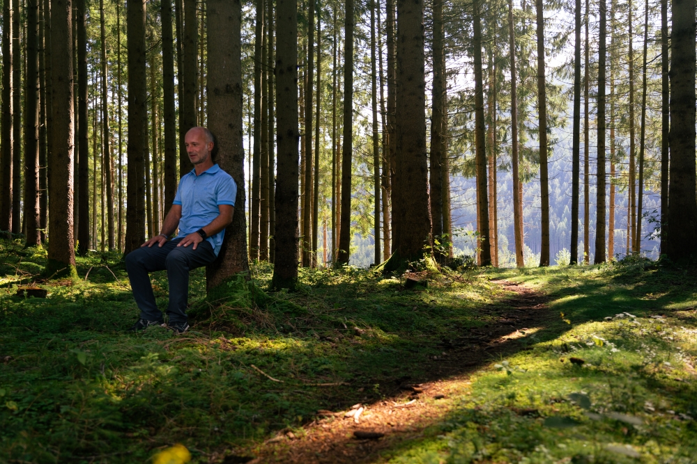 Forest bathing with Petra Cibulak Picture: Man forest bathing in a forest